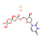 DUTP डीऑक्सीन्यूक्लियोटाइड्स 2'-डीऑक्सीयूरिडीन-5'-ट्राइफॉस्फेट सोडियम साल्ट सॉल्यूशन CAS 102814-08-4