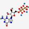 DATP.Na3 2'-Deoxyadenosine-5'-Triphosphate सोडियम साल्ट सॉल्यूशन CAS 1927-31-7